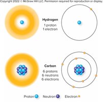 Structure of hydrogen and carbon atoms
