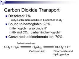 Carbon dioxide transport and buffer system