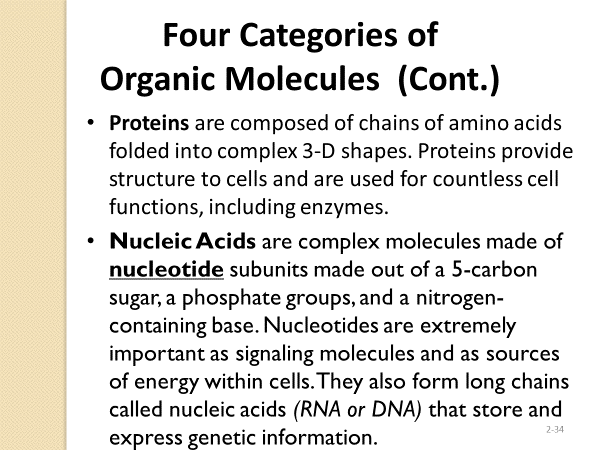 Four categories of organic molecules: proteins and nucleic acids