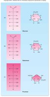 Monosaccharide structures: glucose, galactose, fructose