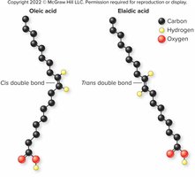 Cis and trans fatty acids