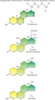 Steroid structures