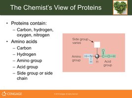 Amino acid structure