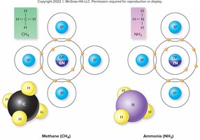 Covalent bonding in methane and ammonia