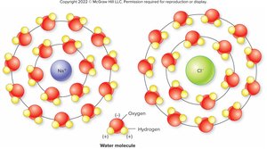 Hydration spheres around sodium and chloride ions