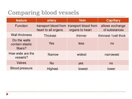 Comparing blood vessels table