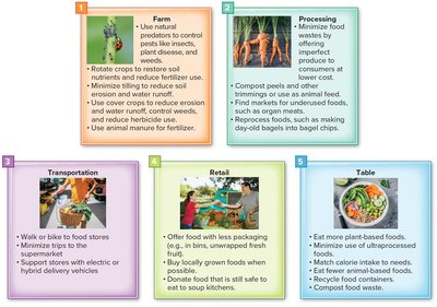 Sustainable food system practices from farm to table