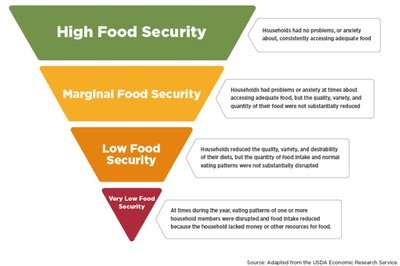 Food security status pyramid