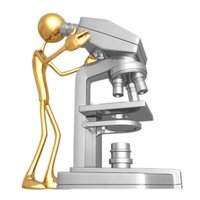 Steroid hormone action at the cellular level