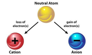 Formation of cations and anions from a neutral atom