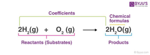 Chemical equation showing coefficients and subscripts
