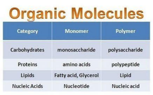 Table of organic molecules, monomers, and polymers