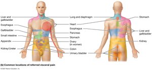 Common locations of referred visceral pain