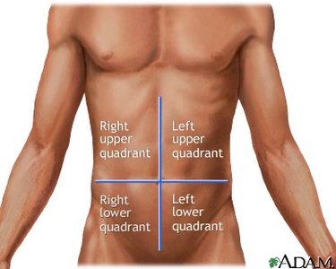 Abdominal quadrants diagram