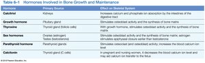 Hormones involved in bone growth and maintenance