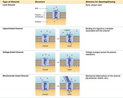 Table of ion channel types and their properties