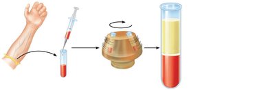 Separation of blood components by centrifugation