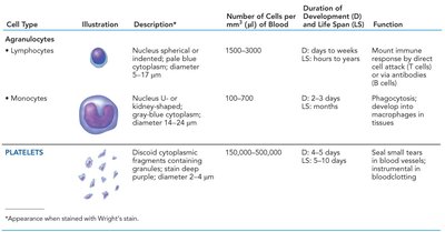 Summary table of agranulocytes and platelets