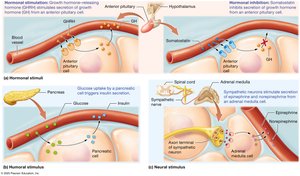 Types of stimuli for hormone secretion