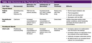 Table of hormones of the thyroid and parathyroid glands