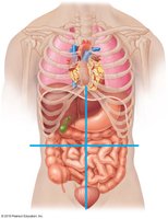 Abdominopelvic quadrants