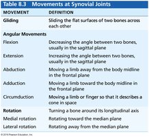 Movements at synovial joints: gliding, angular, rotation