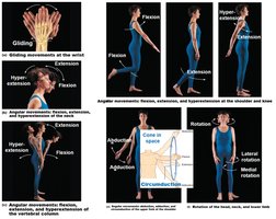 Examples of angular and rotational movements