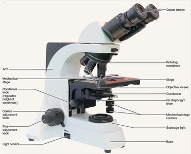 Labeled microscope parts