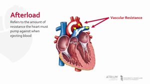 Afterload and vascular resistance