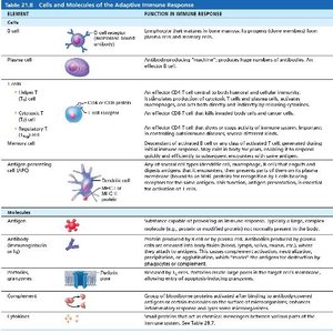 Cells and Molecules of the Adaptive Immune Response