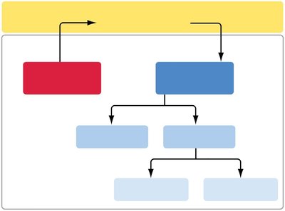 Diagram of CNS and PNS divisions