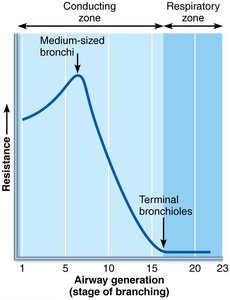 Resistance in respiratory passageways