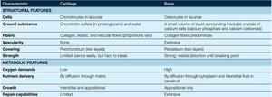 Comparison table of cartilage and bone