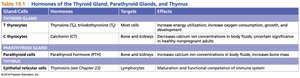 Table of hormones of the thyroid, parathyroid, and thymus