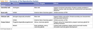 Table of hormones of the reproductive system