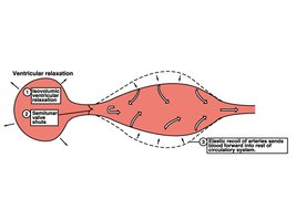Healthy artery versus atherosclerotic artery