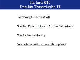 Ionotropic and metabotropic receptor mechanisms
