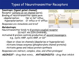 Nicotinic and muscarinic acetylcholine receptors