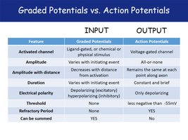 Graded vs. Action Potentials comparison table