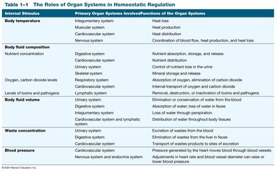 Table of organ systems in homeostatic regulation