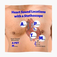 Heart sound locations with stethoscope