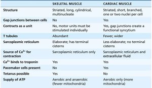 Skeletal vs cardiac muscle comparison table