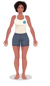 Directional terms: limbs