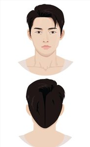 Anatomical terms for head and neck