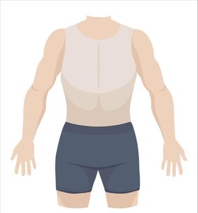 Anatomical terms for back