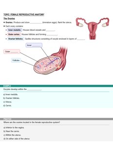 Ovary structure