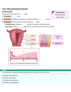 Uterine wall structure
