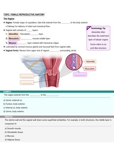 Vaginal wall structure