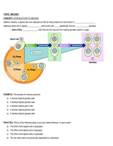 Overview of meiosis