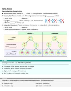 Genetic variation in meiosis